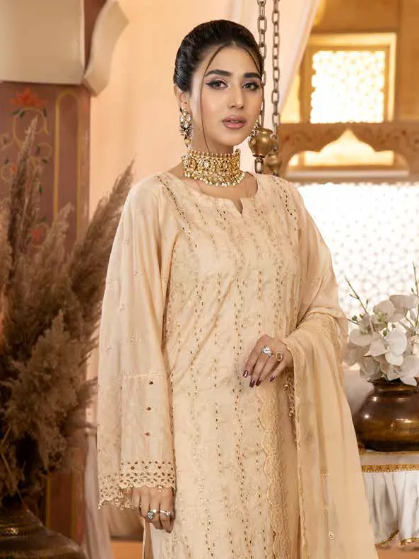 Aafreen by Riaz Arts Embroidered Chikankari Lawn 3Pc Suit AF-17