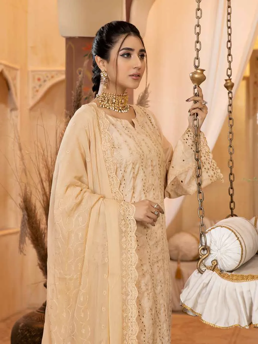 Aafreen by Riaz Arts Embroidered Chikankari Lawn 3Pc Suit AF-17
