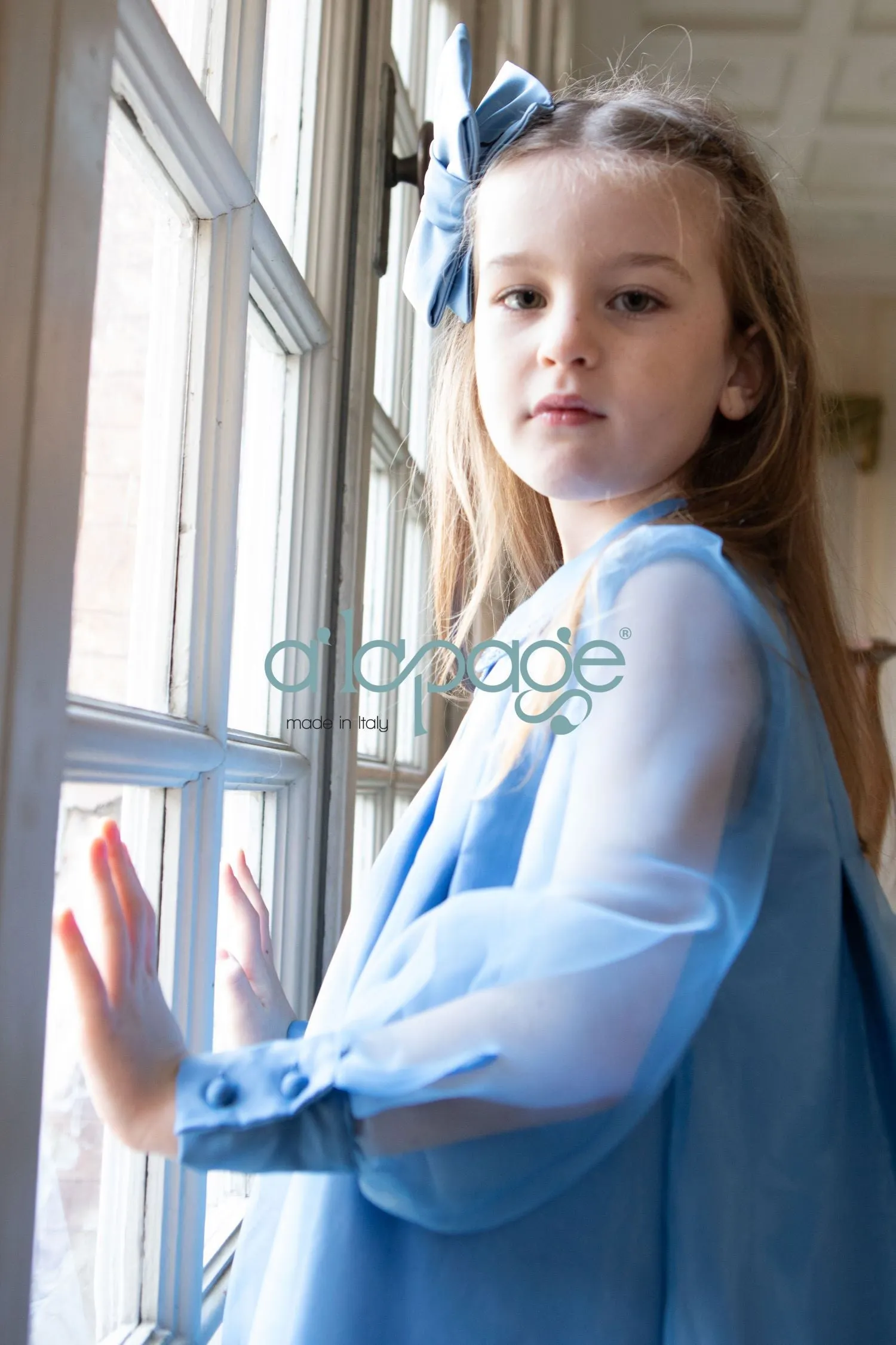 ALAPAGE GLISS RHINESTONE ORGANZA DRESS