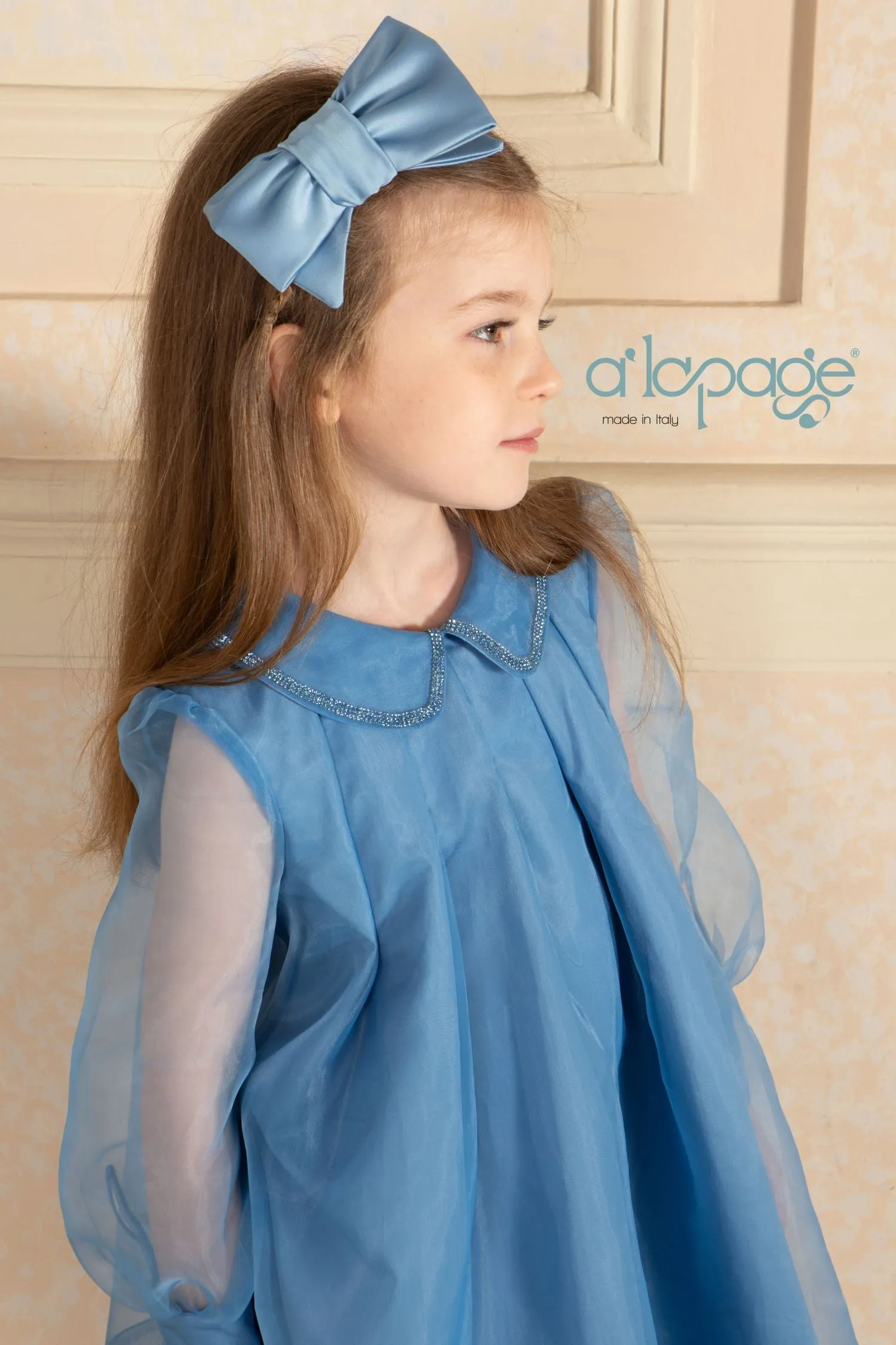 ALAPAGE GLISS RHINESTONE ORGANZA DRESS