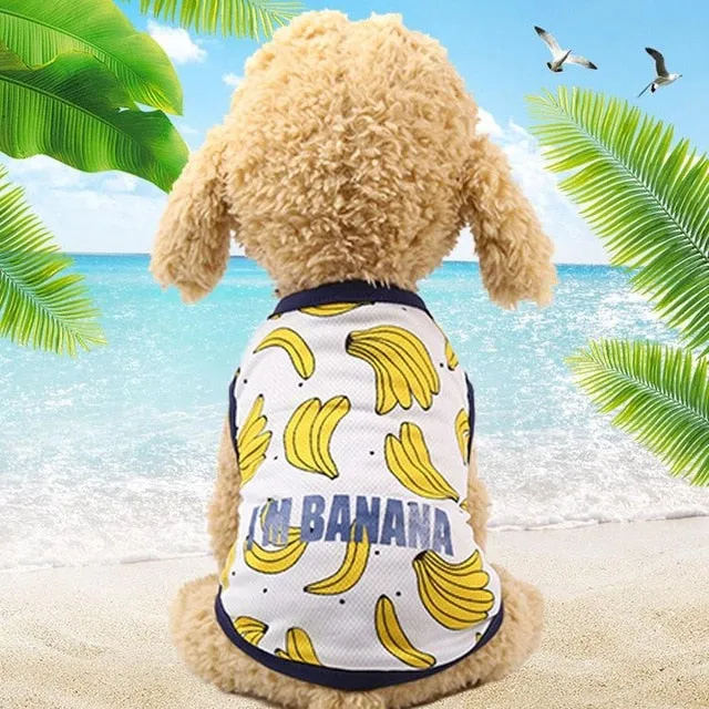 Beach T-shirts