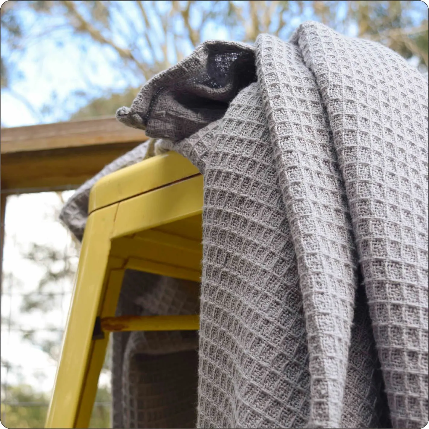 Blanket - Organic Waffle Koala Grey (210 x 210cm)