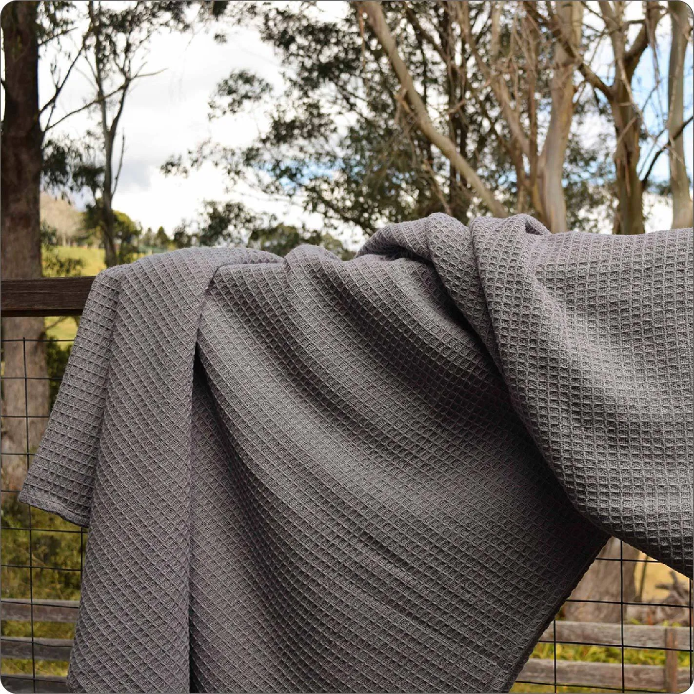 Blanket - Organic Waffle Koala Grey (210 x 210cm)
