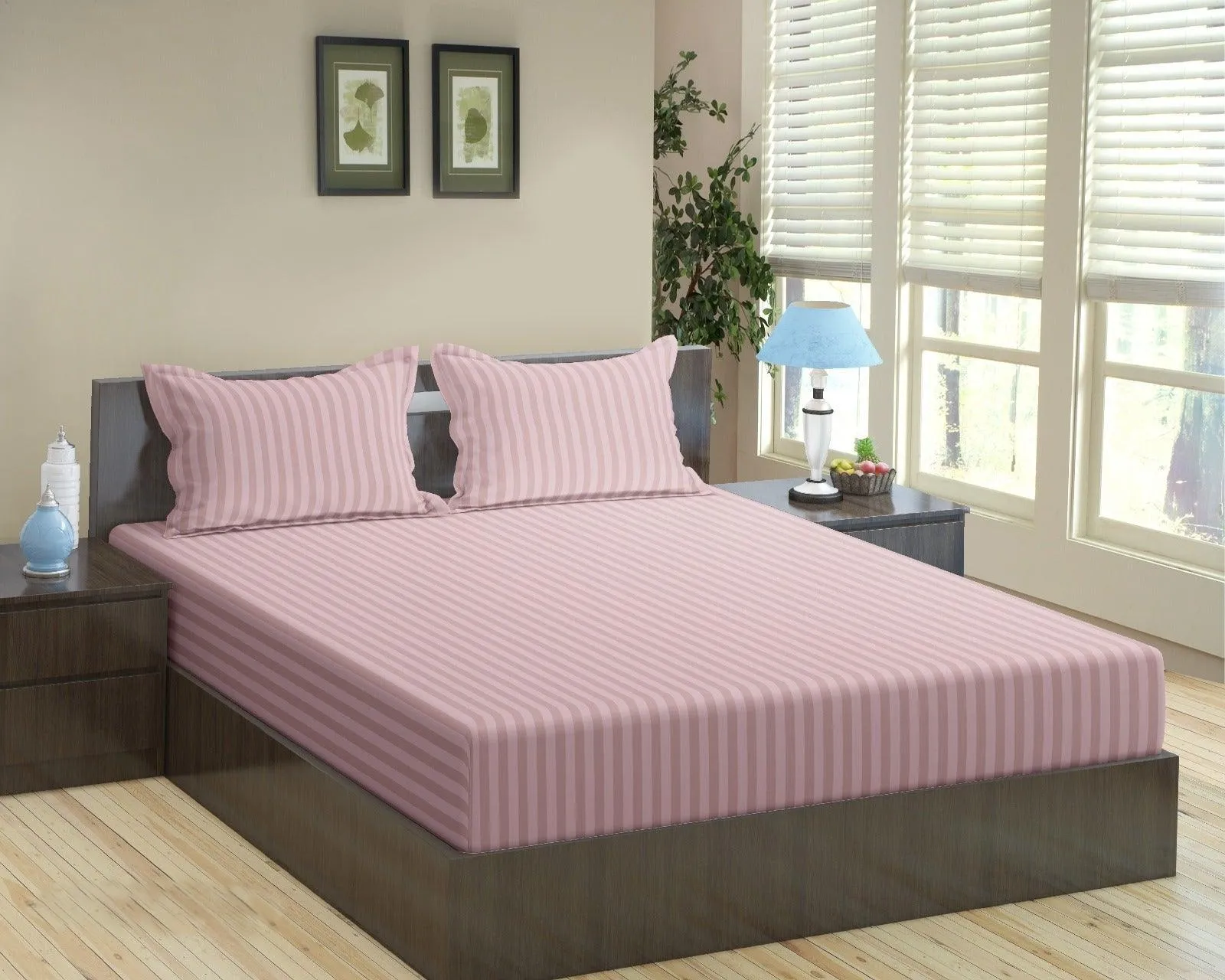 Cotton College/Hostel Bed Sizes Fitted Bedsheet with 1 Pillow Cover(100% Cotton & 200 TC)