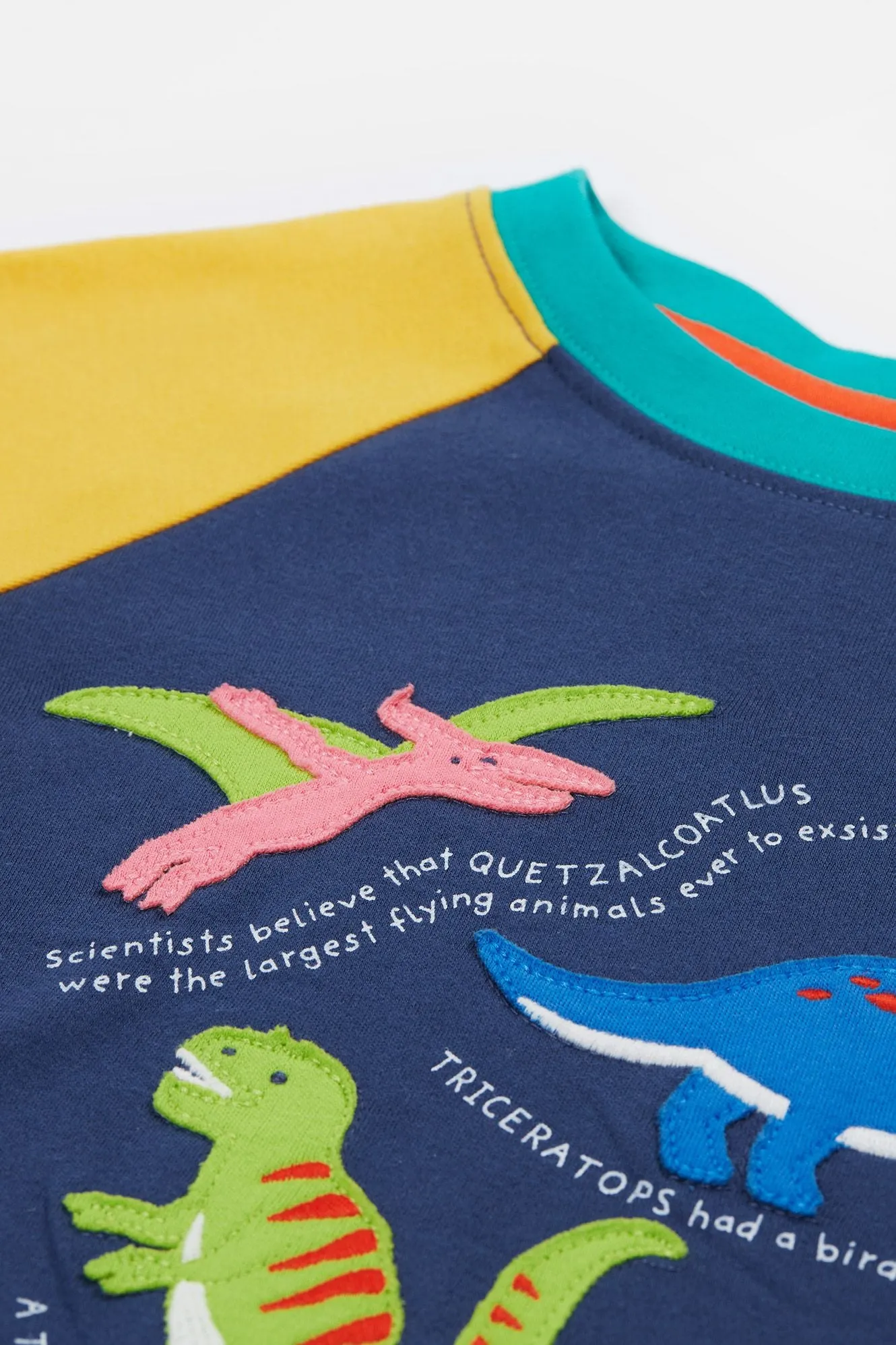 Frugi Renny Raglan T-Shirt Navy Dino
