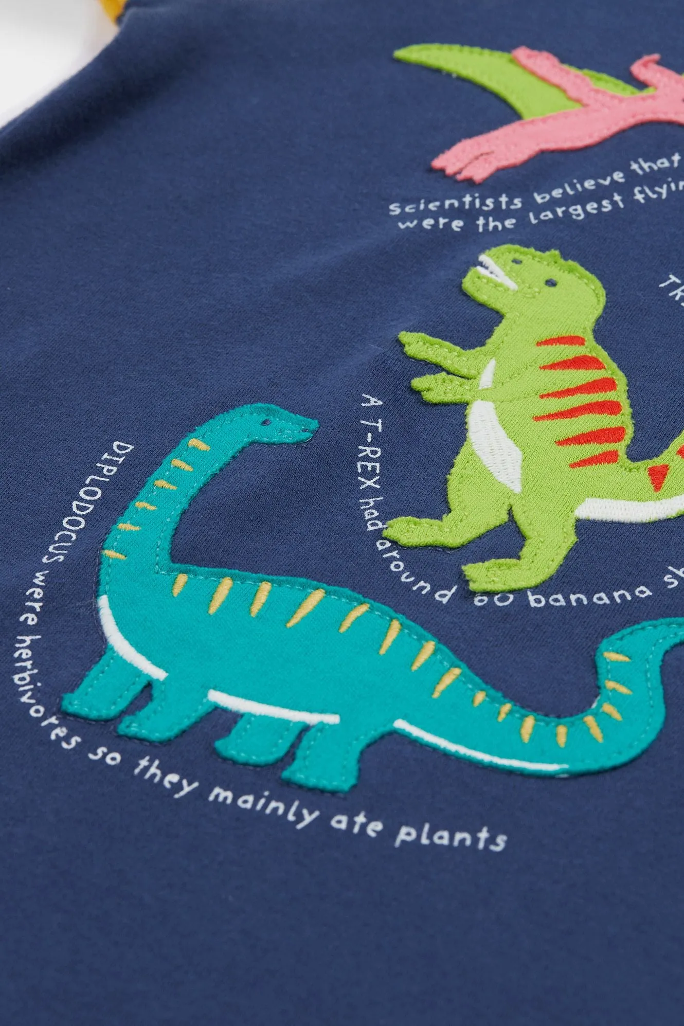 Frugi Renny Raglan T-Shirt Navy Dino