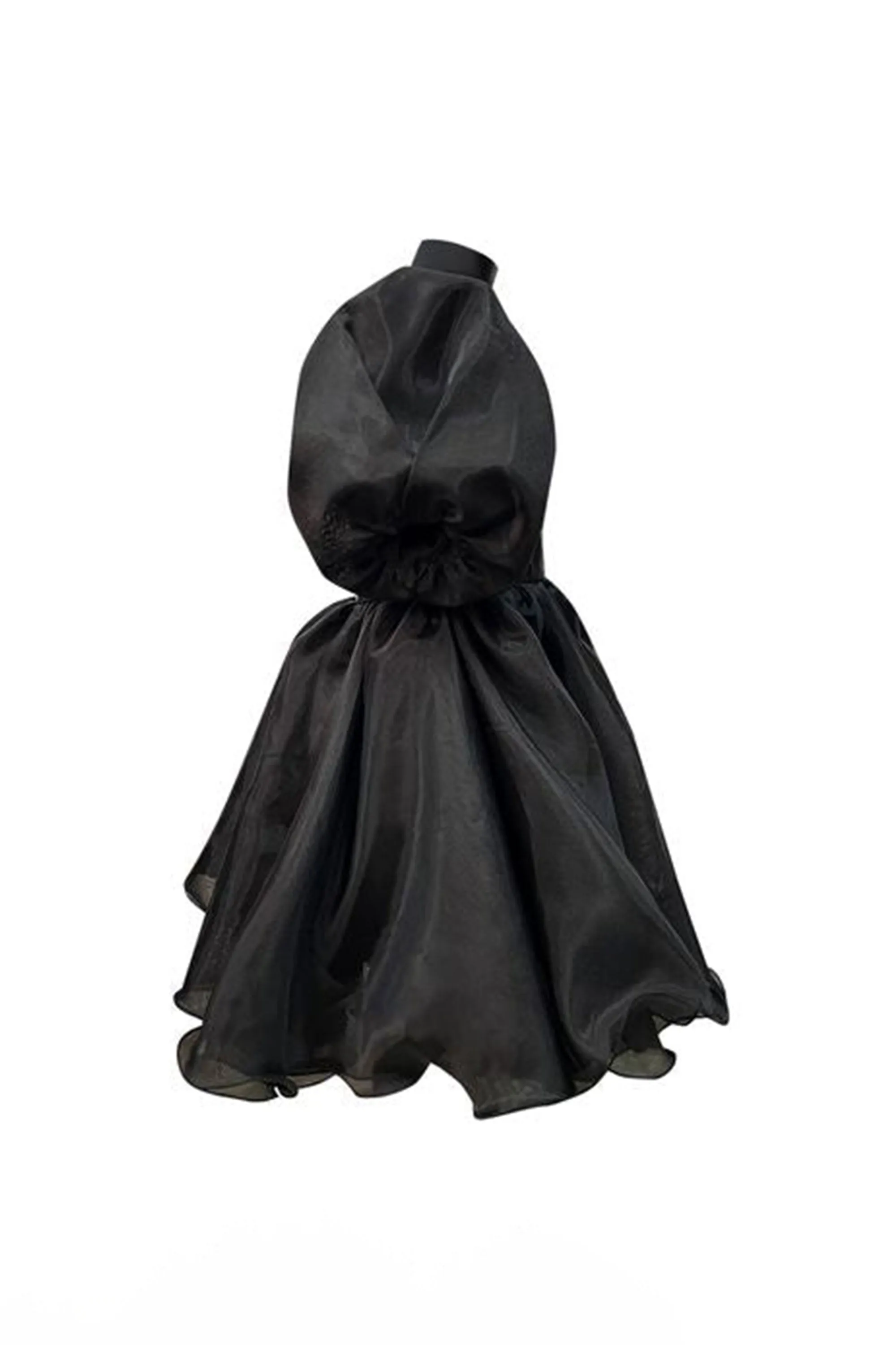 Limited Edition: The Alaia Organza Dress