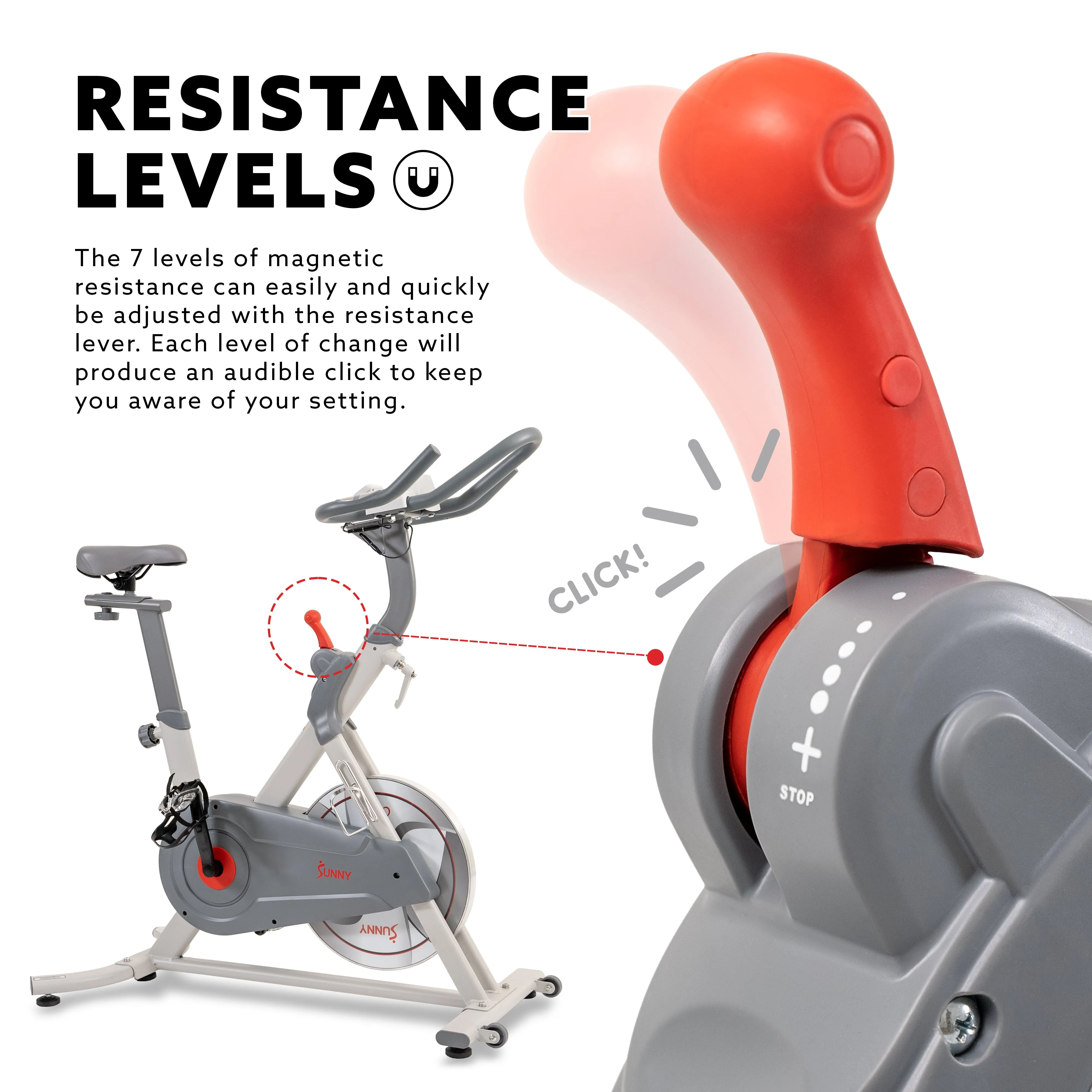 Pro Lite Indoor Cycling Bike Belt Drive
