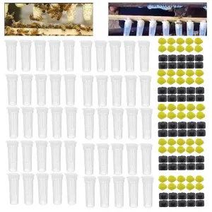 Queen Rearing Kit 50 pcs Set Cages Cups
