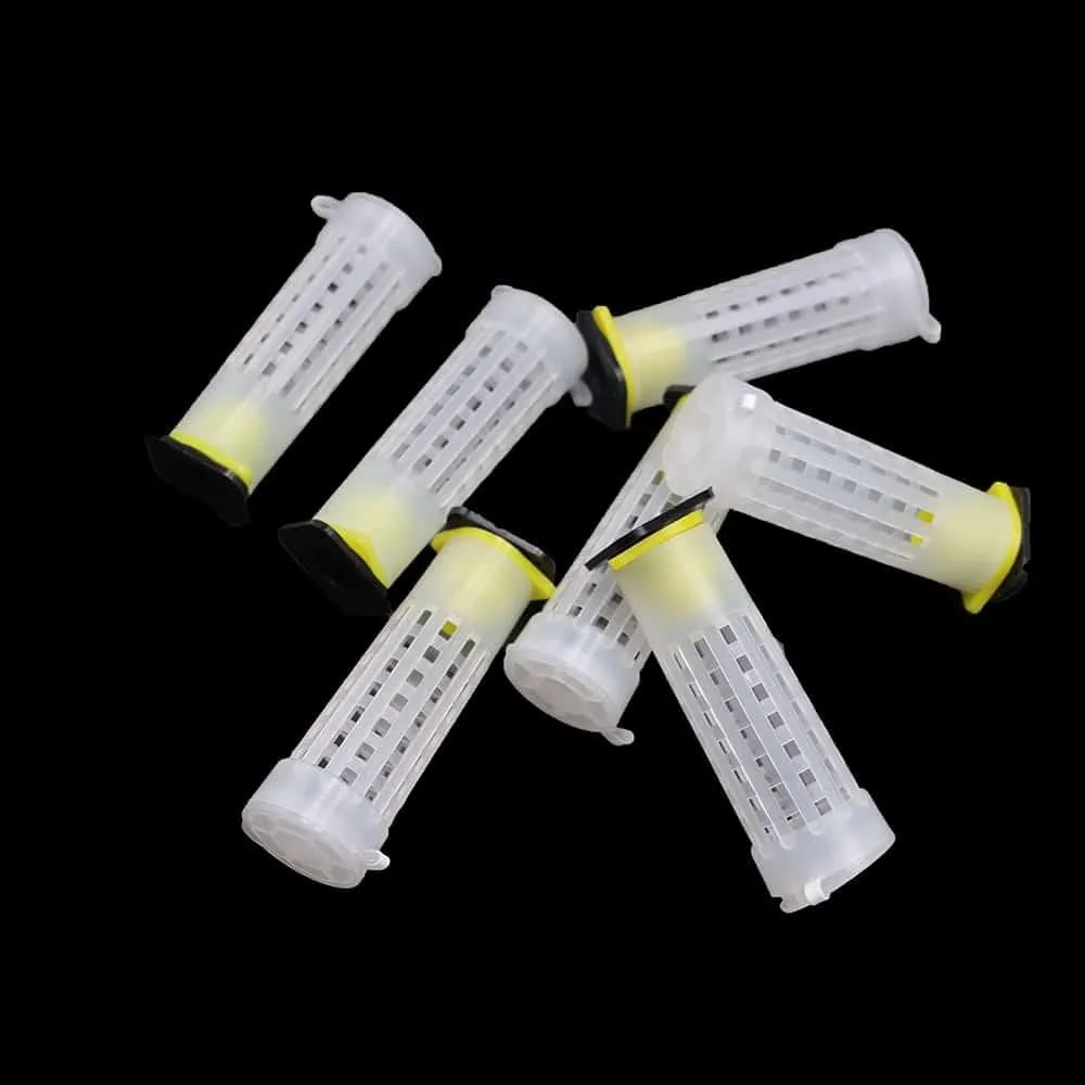 Queen Rearing Kit 50 pcs Set Cages Cups